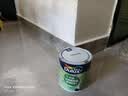 多乐士（Dulux）绿色家居京绽竹炭抗甲醛五合一净味环保小桶乳胶漆 补墙漆 A8146P 1L单桶 白漆 不可调色 1L*1件 实拍图