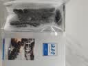 海晏堂大连淡干海参 50g 10-14只 辽刺参 干海参海鲜滋补送礼礼品 实拍图