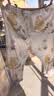 童泰（TONGTAI）宝宝秋衣套装春秋纯棉婴儿衣服儿童内衣男女童家居服蓝色80cm 实拍图