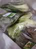 七鲜24小时油菜苗250g(长度≤17cm) 实拍图