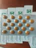 【原研进口】金纳多 银杏叶提取物片 40mg*60片/盒 10盒装 实拍图