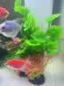 森森小鱼缸桌面超白玻璃鱼缸小型客厅家用水族箱白色ATF-200 实拍图