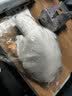 网红大白鹅公仔抱枕女生床上玩偶可爱枕头靠垫儿童大号毛绒玩具 大鹅 50厘米 实拍图
