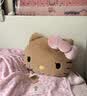 野兽派家居（tbh）三丽鸥Hello Kitty二合一法兰绒暖香毯/抱枕毯靠垫午睡毯空调毯  实拍图
