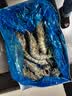 GUO LIAN国联特大号黑虎虾斑节虾无冰盐冻净重2斤20-30只海鲜家宴礼品 实拍图
