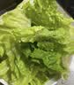 【烧烤季】钟灵山罗马生菜400g 实拍图