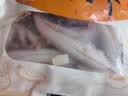 潮夫道海鲜什锦200g火箭鱿小八爪鱿鱼花鱿鱼圈鱿鱼条火锅食材海鲜水产 实拍图