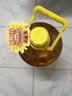鲁花 食用油 物理压榨 葵花仁油6.18L  实拍图