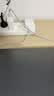 Apple/苹果 40W（至高60W） type-c快充充电器 苹果usb-c原装充电头 苹果iPhone 18 Pro Max充电器 实拍图