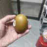 佳沛（zespri）新西兰金奇异果18粒超大原箱175-204g猕猴桃水果礼盒 实拍图