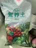 寿禾 营养土果蔬育苗泥炭通用型养花种菜多肉盆栽种植土壤 营养土3L 实拍图