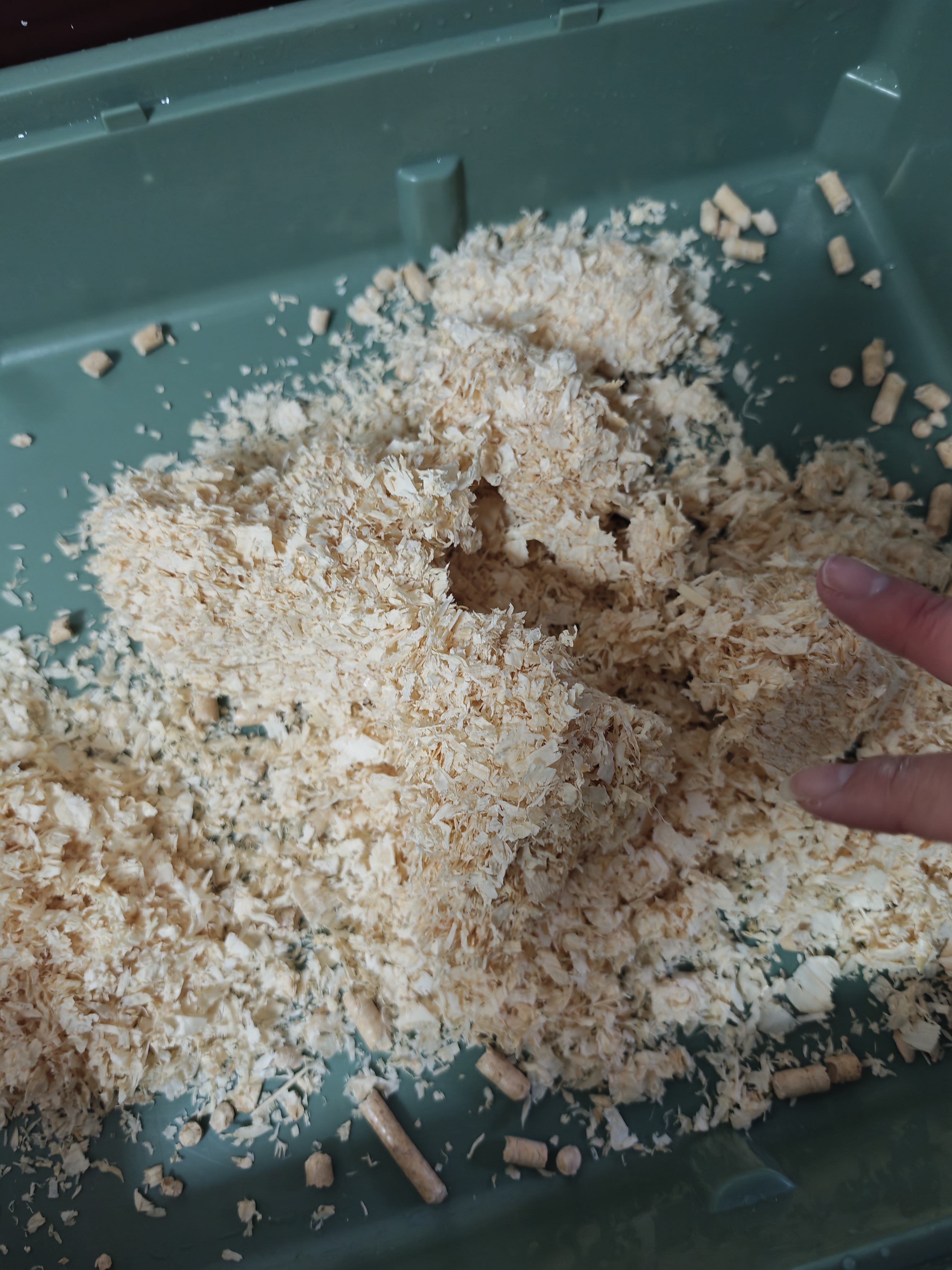 喜帅仓鼠木屑原味兔子木削锯粉金丝熊荷兰猪龙猫垫料2kg 袋装1kg*2 实拍图