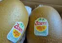佳沛（zespri）新西兰金奇异果8粒特大果124-146g猕猴桃水果礼盒 实拍图
