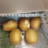 佳沛（zespri）新西兰金奇异果22粒巨大原箱146-175g猕猴桃水果礼盒 实拍图