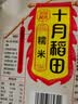 十月稻田 糯米 2斤 东北圆糯米 包粽子 可酿米酒 杂粮米粗粮 实拍图