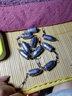 海竿铅坠水滴型 海杆子弹铅坠钓鱼配件 40g 子弹铅坠（一份10颗） 实拍图