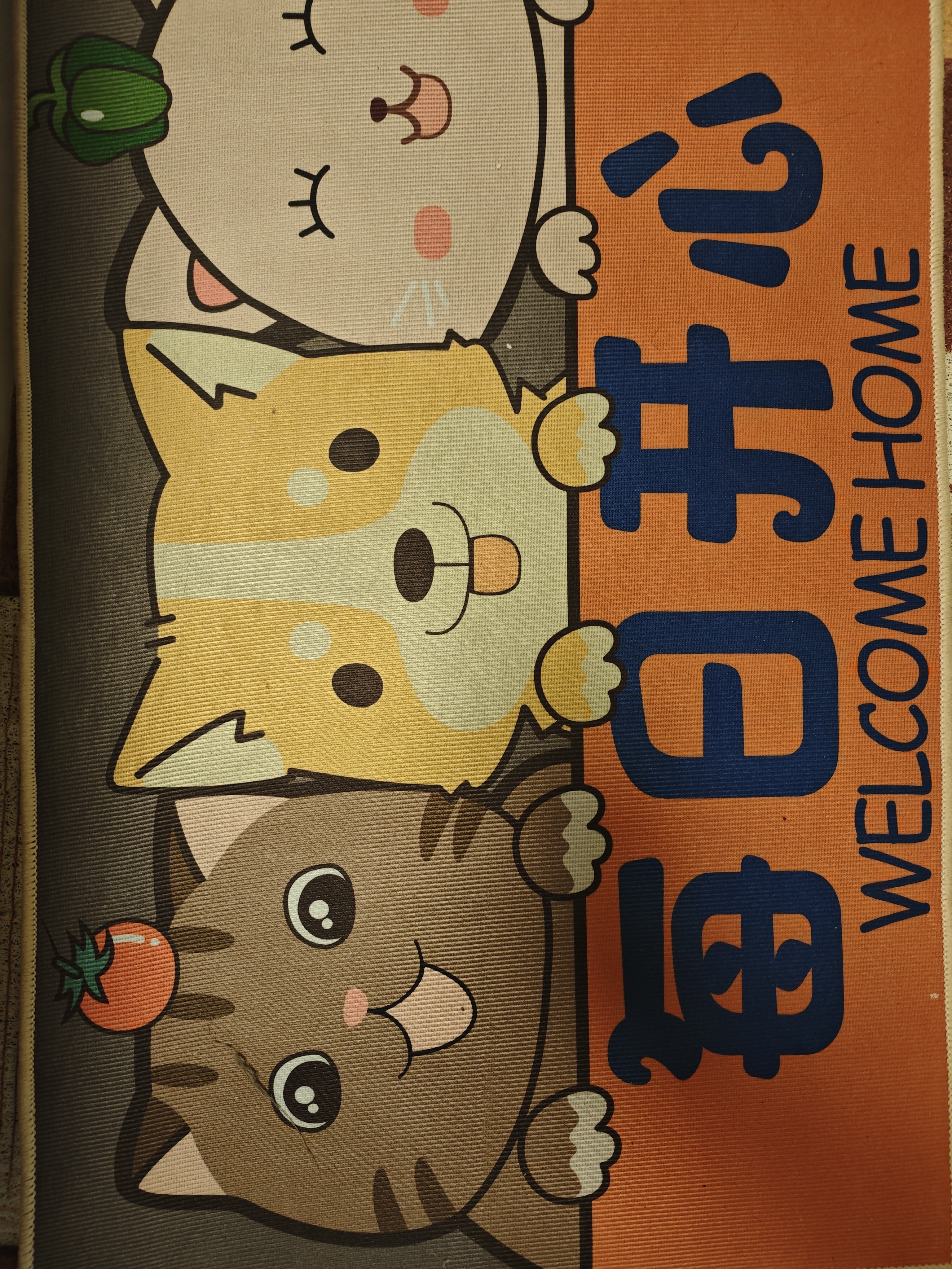 梦蜓入户地垫门口脚垫入户门进门垫子防滑耐脏地垫可裁剪50*80cm开心 实拍图