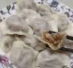 湾仔码头大白菜猪肉水饺1800g90只食品速食面点饺子夜宵早餐速冻半成品 实拍图