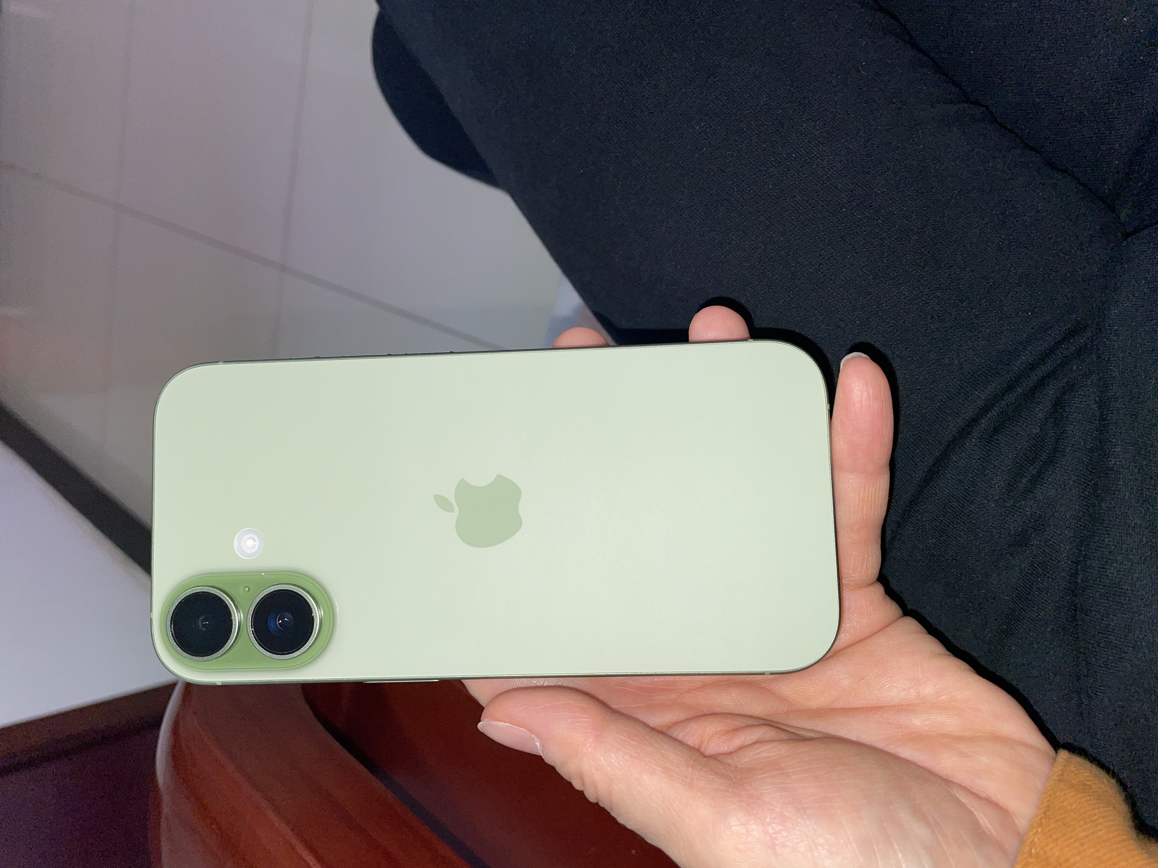 Apple/苹果【需签收激活】 iPhone 17 256GB 鼠尾草绿色 支持移动联通电信5G 双卡双待手机 实拍图