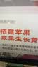 京地达山东烟台栖霞红富士苹果80级净重5斤 栖霞苹果时令水果源头直发 实拍图