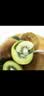佳沛（zespri）新西兰金奇异果18粒优选果103-124g猕猴桃水果礼盒 实拍图