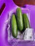 【水果菜】荷兰水果黄瓜约400g 实拍图