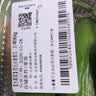 【水果菜】荷兰水果黄瓜约400g 实拍图