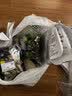 房山平菇300g 实拍图