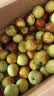 京鲜生冬枣 脆枣大枣 5斤礼盒装 单果20g+ 新鲜水果礼盒 实拍图