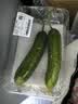 【水果菜】荷兰水果黄瓜约400g 实拍图