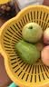 京鲜生红心珍珠芭乐/番石榴 5-8个 净重3斤 单果200g+ 生鲜水果礼盒 实拍图
