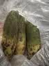 京地达山东潍坊水果萝卜净重5斤单果300g+ 微辣清脆蔬菜源头直发包邮 实拍图