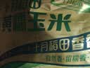 十月稻田 黑糯玉米 8根 3.52斤 真空包装 东北甜粘玉米棒 低脂早餐 实拍图