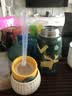 FGA富光儿童节保温杯316不锈钢带吸管水壶学生宝宝喝水杯双盖杯子绿 实拍图