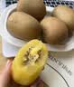 佳沛（zespri）新西兰金奇异果12粒特大果124-146g猕猴桃水果礼盒 实拍图