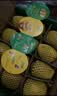佳沛（zespri）新西兰金奇异果10粒巨大果146-175g猕猴桃水果礼盒 实拍图