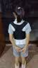 背背佳儿童青少年新L矫姿带通用透气防勒通勤外穿款夏季透气不勒S 实拍图