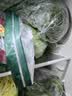 【沙拉菜】生菜紫甘蓝混合蔬菜沙拉255g（赠丘比沙拉汁） 实拍图