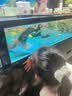狮王（Lion）小狮王奥拉氟含氟防蛀儿童牙膏3-6-12岁 宝宝牙膏套装3支热门商品 实拍图
