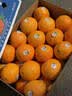 新奇士（Sunkist）澳大利亚蓝标早脐橙大果4斤礼盒 单果220g起 生鲜水果礼盒 实拍图