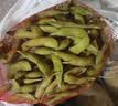 鲜毛豆500g(带壳) 实拍图