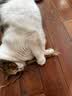 憨憨乐园木天蓼猫咪磨牙棒猫玩具自嗨解闷逗猫棒耐咬幼猫用品玩具养猫神器 实拍图