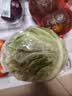 【霜打菜】卷心菜约800g 实拍图