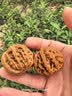 QMXD高抛精品原皮文玩核桃四座楼狮子头麒麟纹盘玩官帽核桃手把件核桃 【大师级】四座楼一对+工具 实拍图