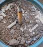 千居惠户外蚊香棒40支艾草驱蚊庭院花园植物成分露营钓鱼艾条养殖场驱蚊 实拍图