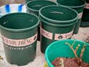 花盆绿植盆栽加厚塑料简约多肉小盆阳台客厅月季玫瑰大号家用花盆 高款5加仑(口径26.5cm)2个盆 配套托盘 实拍图