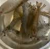 鲜活大海白虾300g（约12-18只） 实拍图