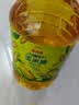 金龙鱼 食用油 非转基因 物理压榨玉米油6.18L（蕴含植物甾醇） 实拍图