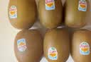 佳沛（zespri）新西兰金奇异果10粒巨大果146-175g猕猴桃水果礼盒 实拍图