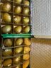 佳沛（zespri）新西兰金奇异果12粒特大果124-146g猕猴桃水果礼盒 实拍图